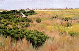 Famous Island Paintings - Landscape Near Coney Island
